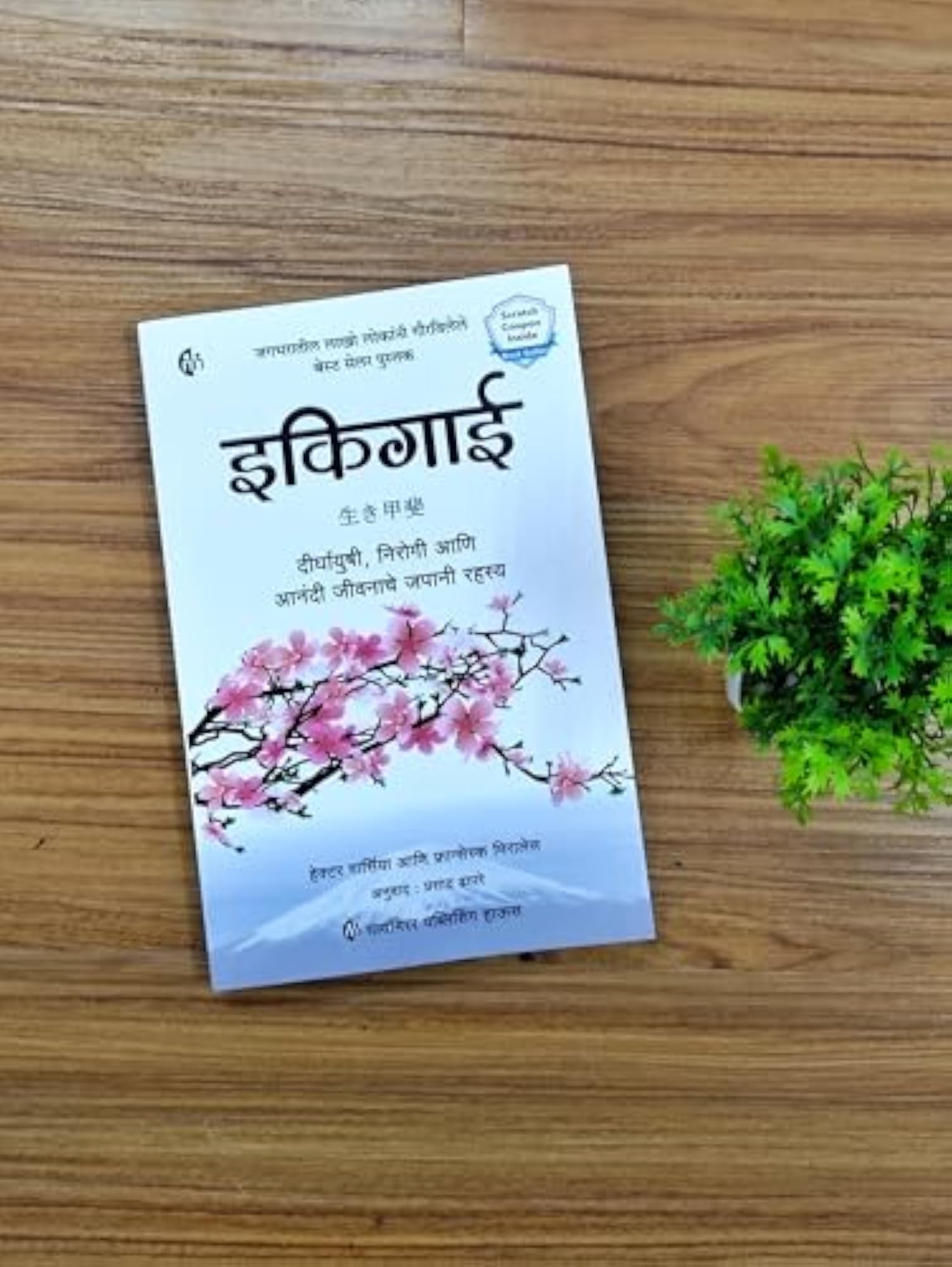 Ikigai (Marathi)